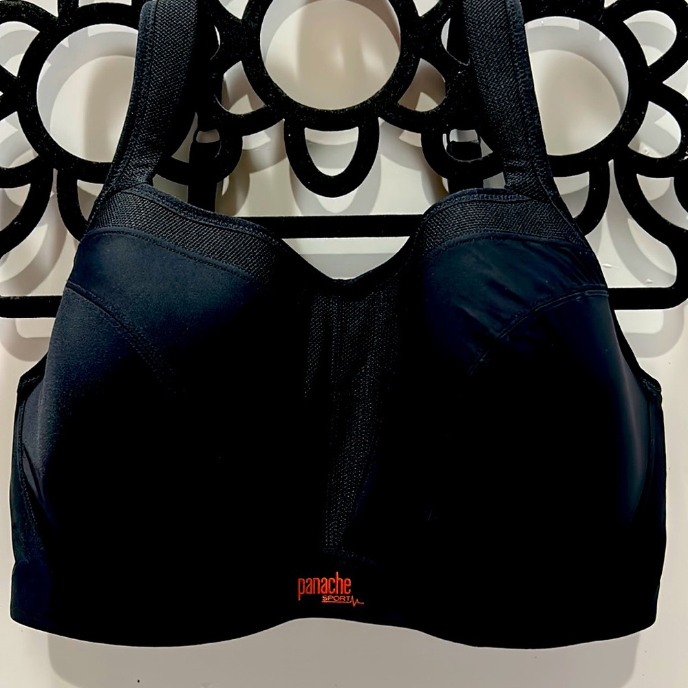 Panache Sports Bra Underwire .NWOT .34G.